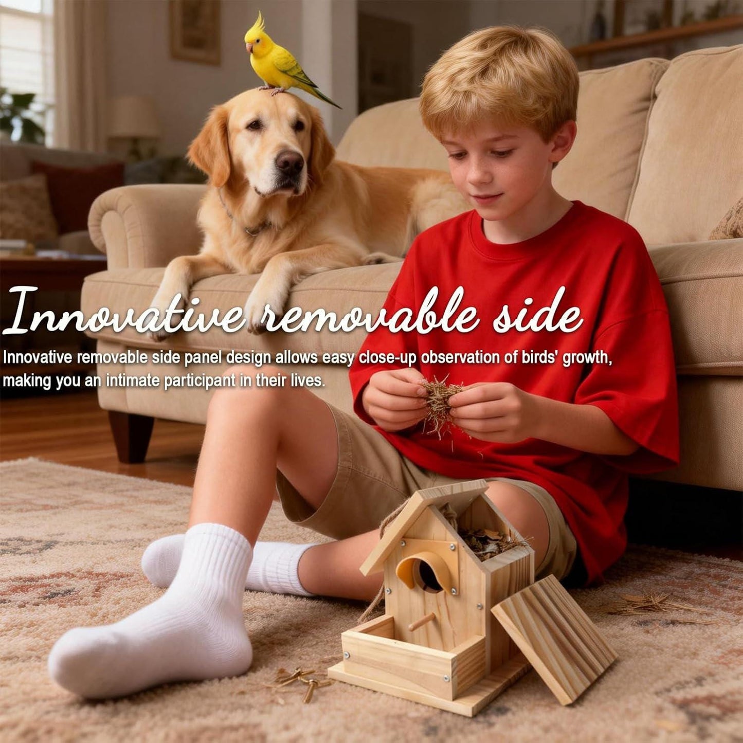 Image #5