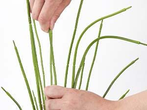 Image #12
