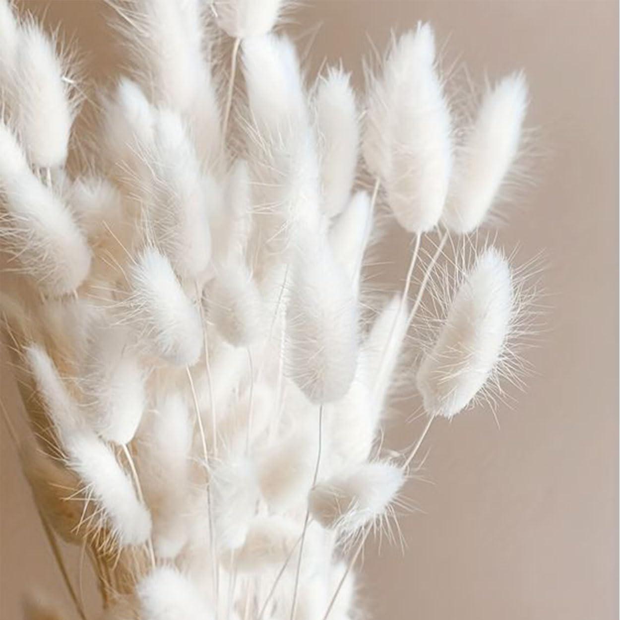 Image #17