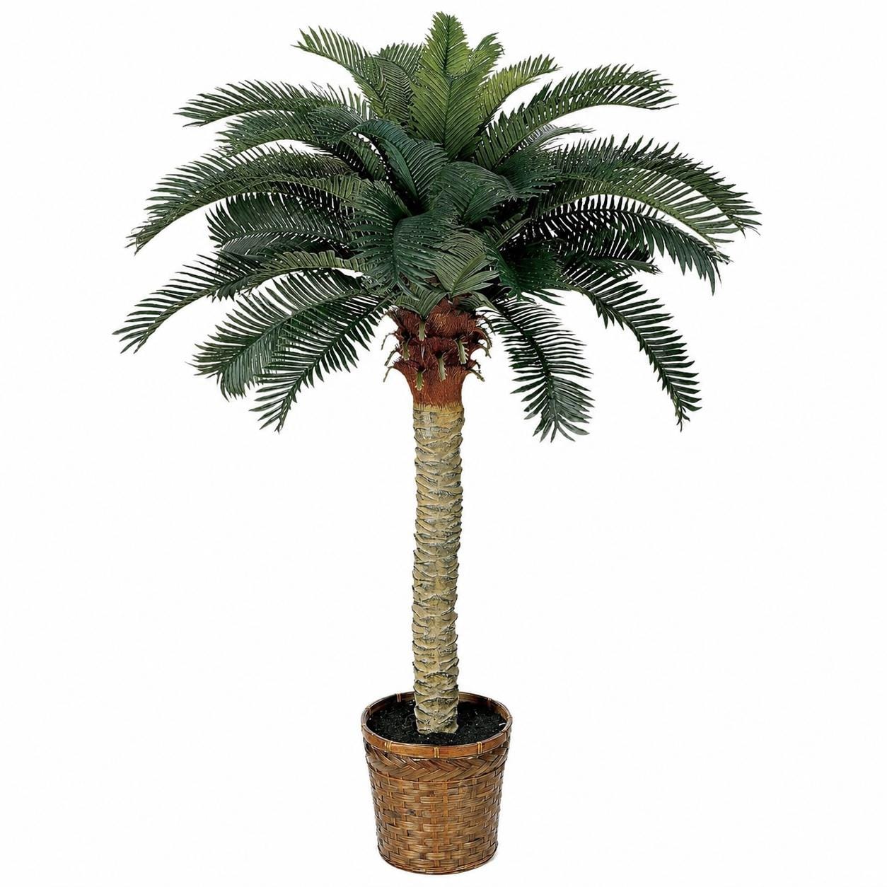 Image #10